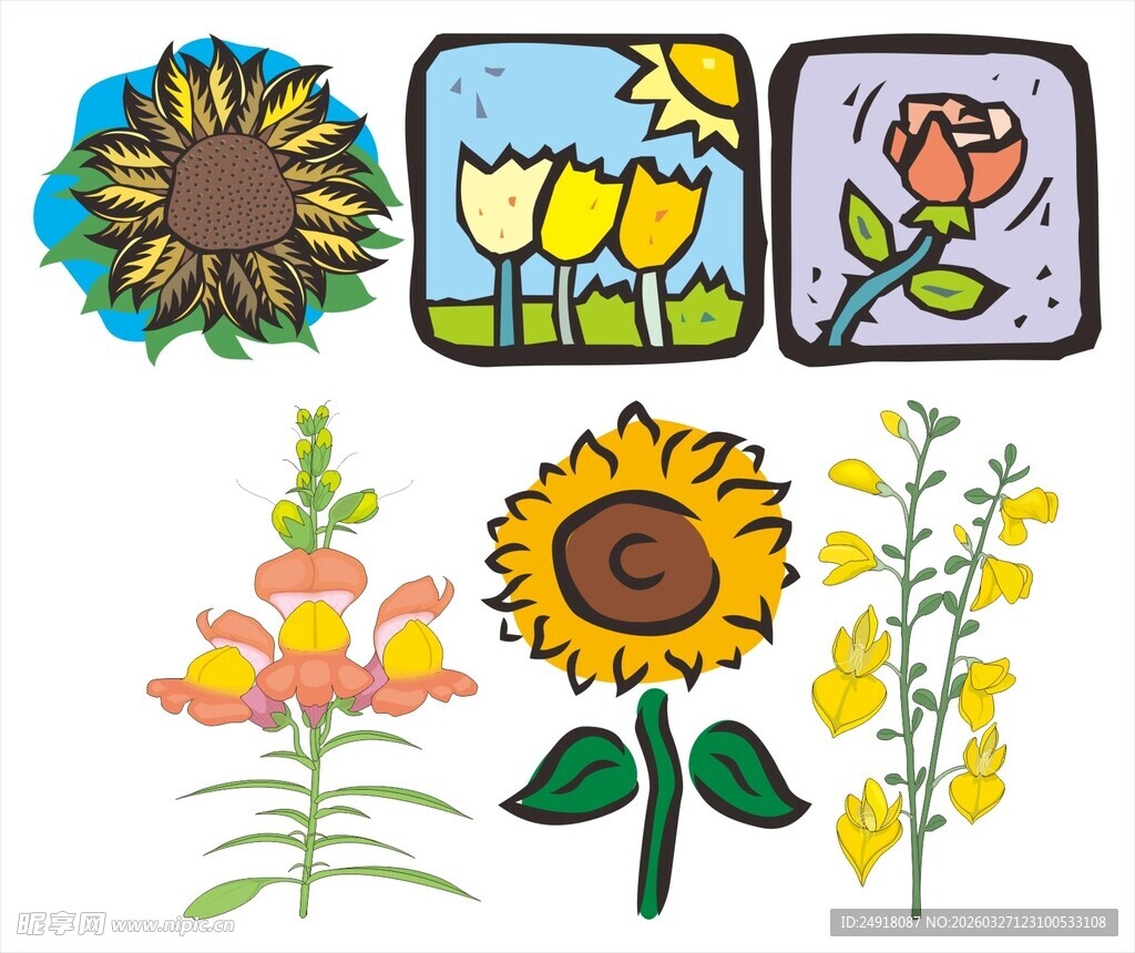 多彩手绘花卉图案集合