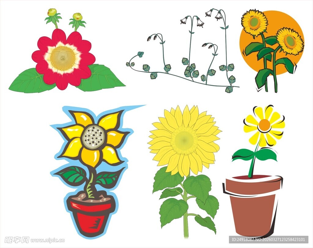 多彩盆栽花卉插画图案