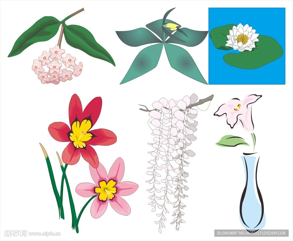 多样花卉植物插画展示