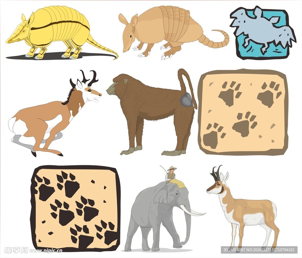 多样野生动物与脚印图案