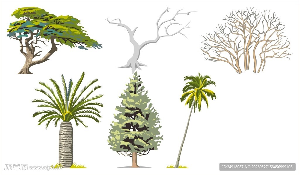 多样树木植物素材图