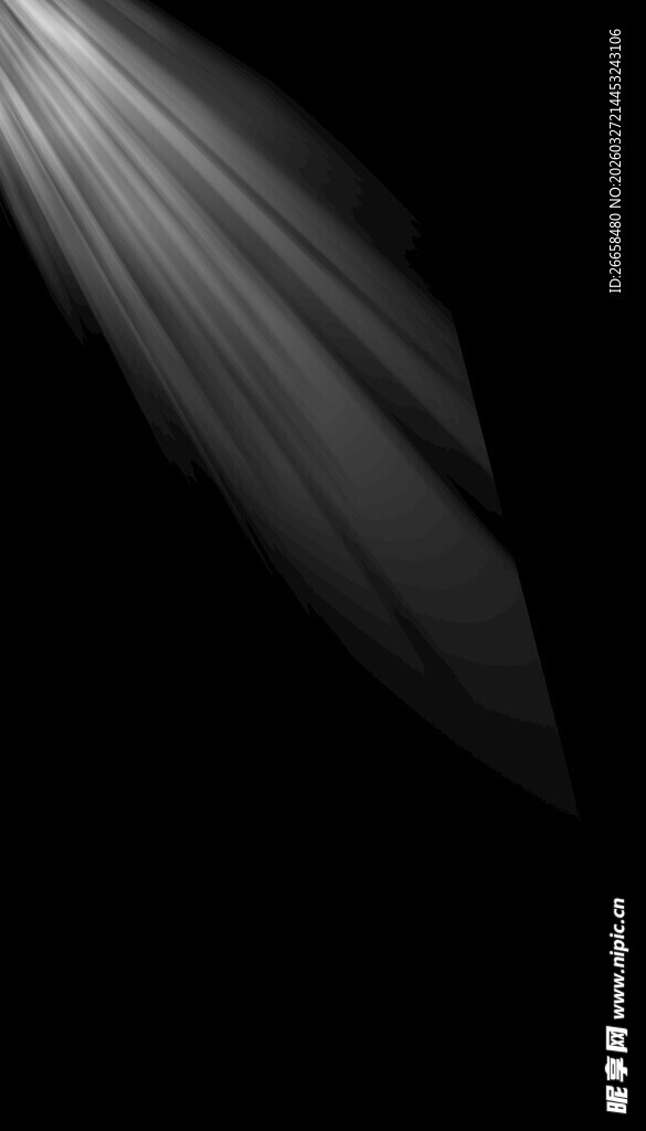 黑白光影下的飘逸线条