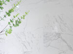 白色大理石上的翠绿枝叶