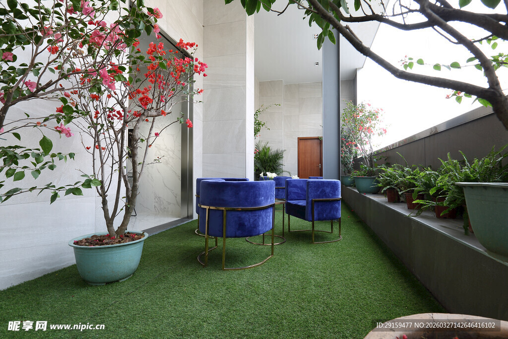 庭院绿植休闲角落