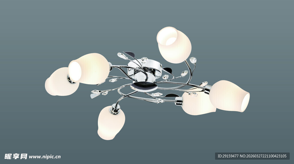 破碎蛋壳中的精致手表