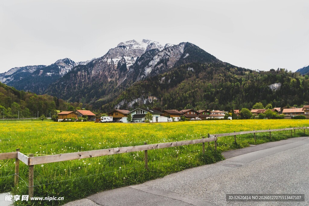 山间公路旁的田园美景