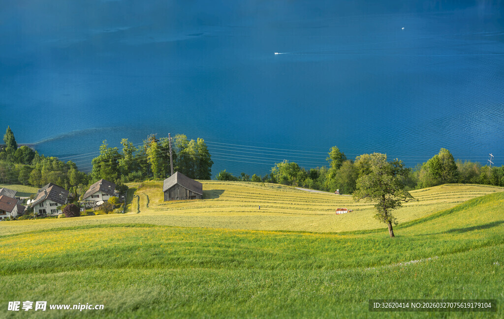田园风光中的宁静村落