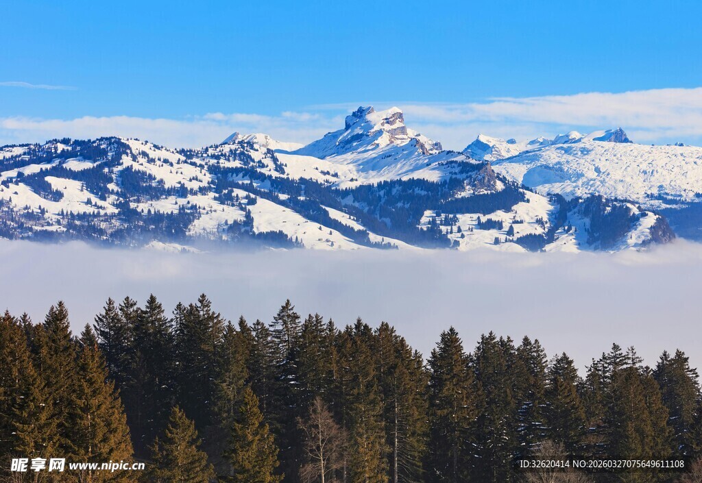 雪山森林云海壮丽景观