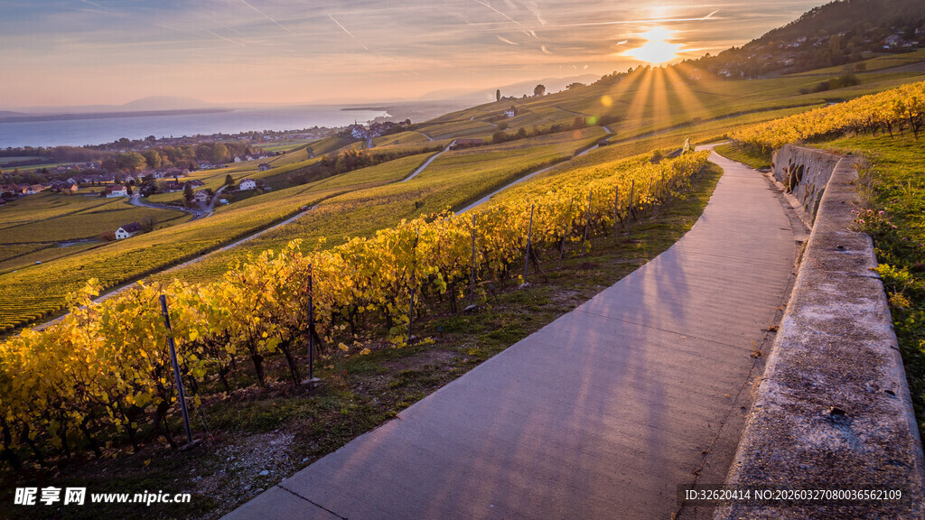 夕阳下的田园小路美景