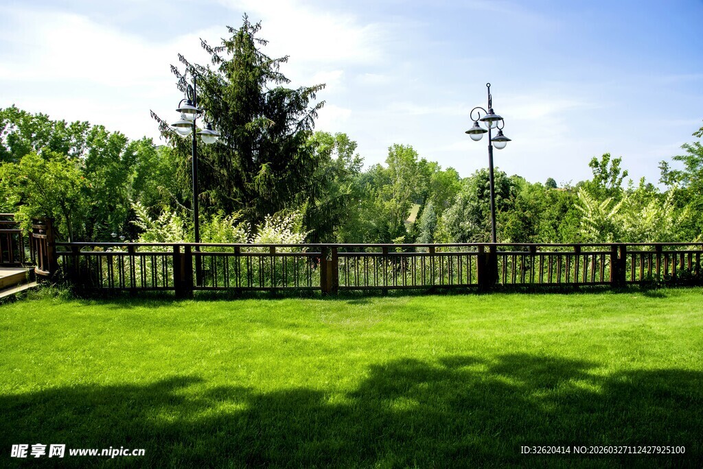 绿意盎然的户外庭院景观