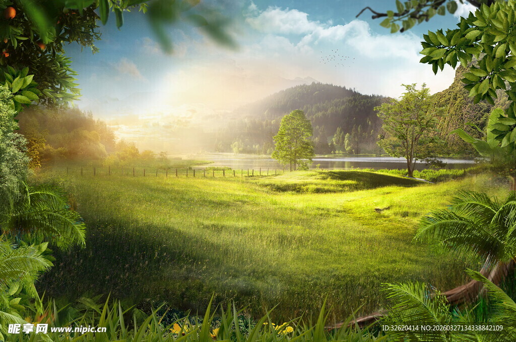 阳光照耀下的绿野风光