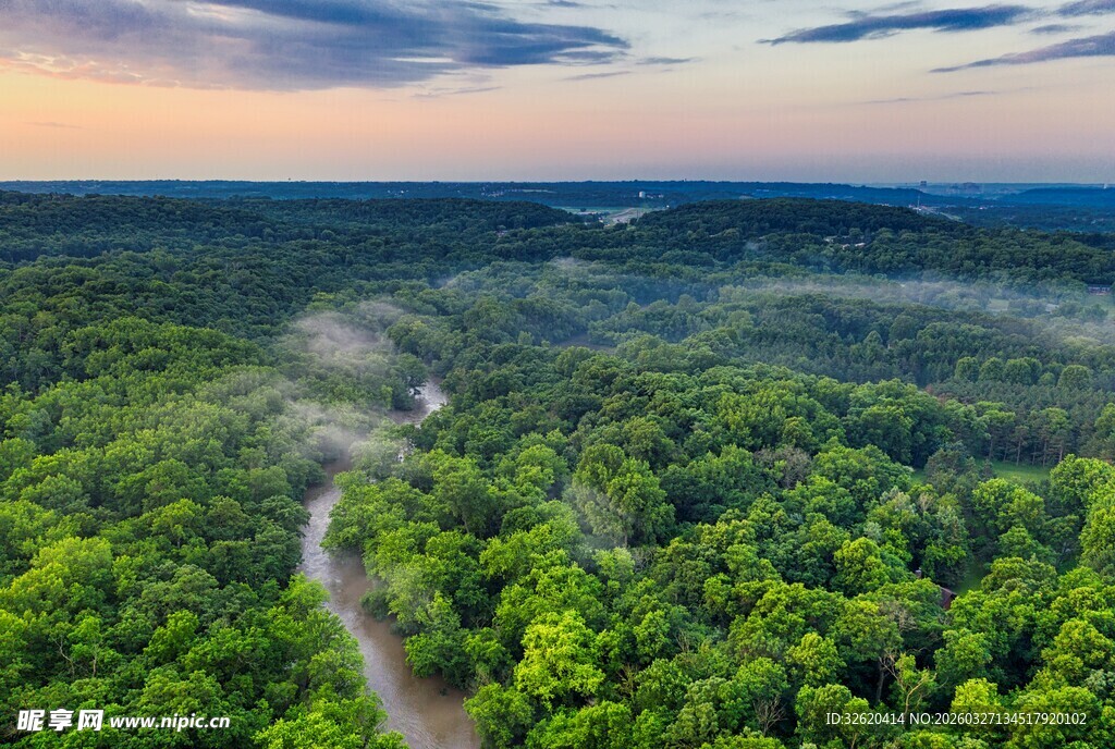 葱郁森林中的蜿蜒小路