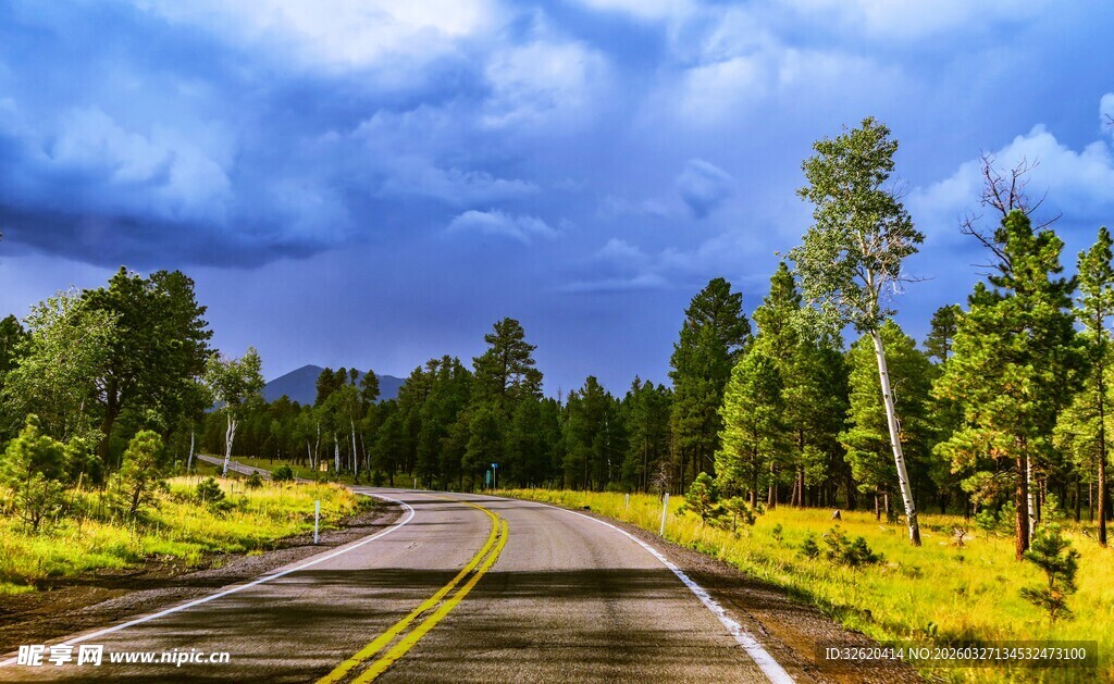 公路穿行于葱郁山林间