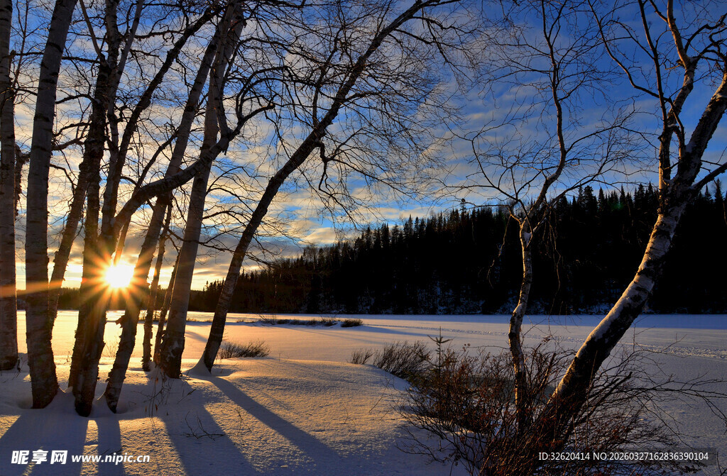 冬日雪林夕阳美景