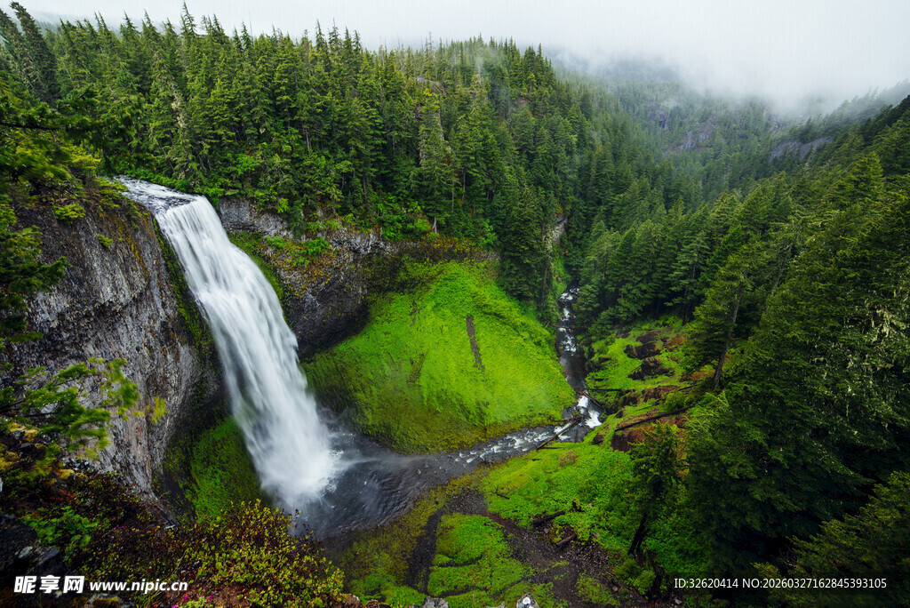 山间瀑布下的葱郁森林