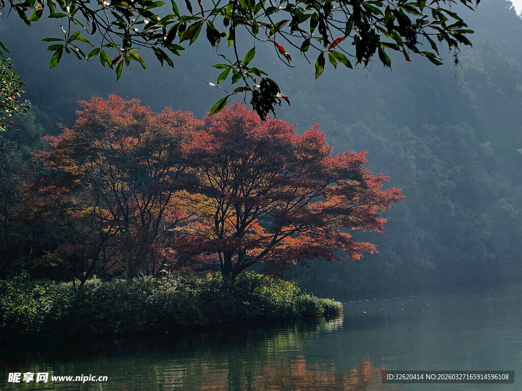 湖畔红枫秋景如画
