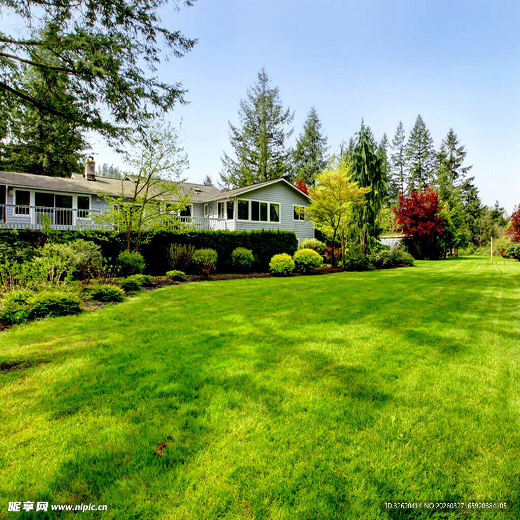 绿意盎然的庭院美景