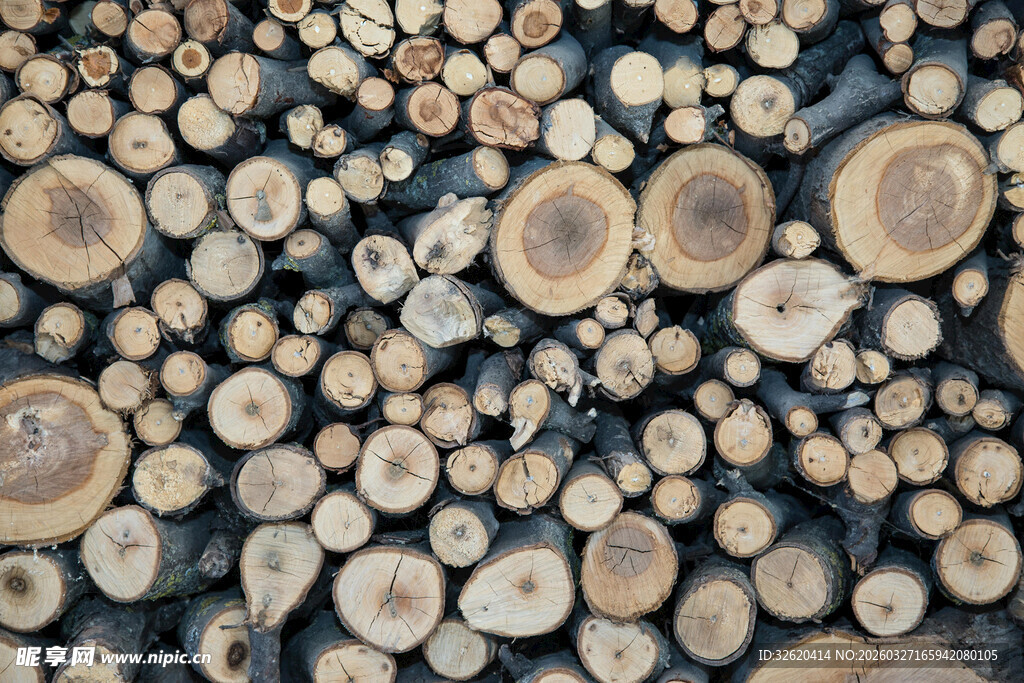 整齐堆放的多彩圆木段
