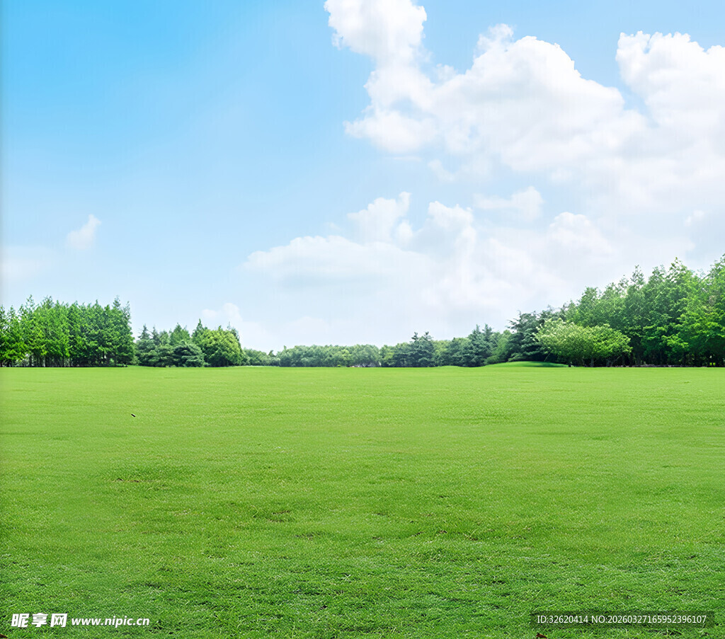 广袤绿草地与蓝天白云