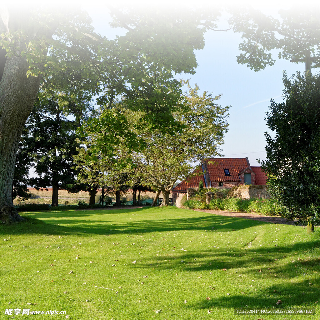 阳光照耀下的乡村绿野风光