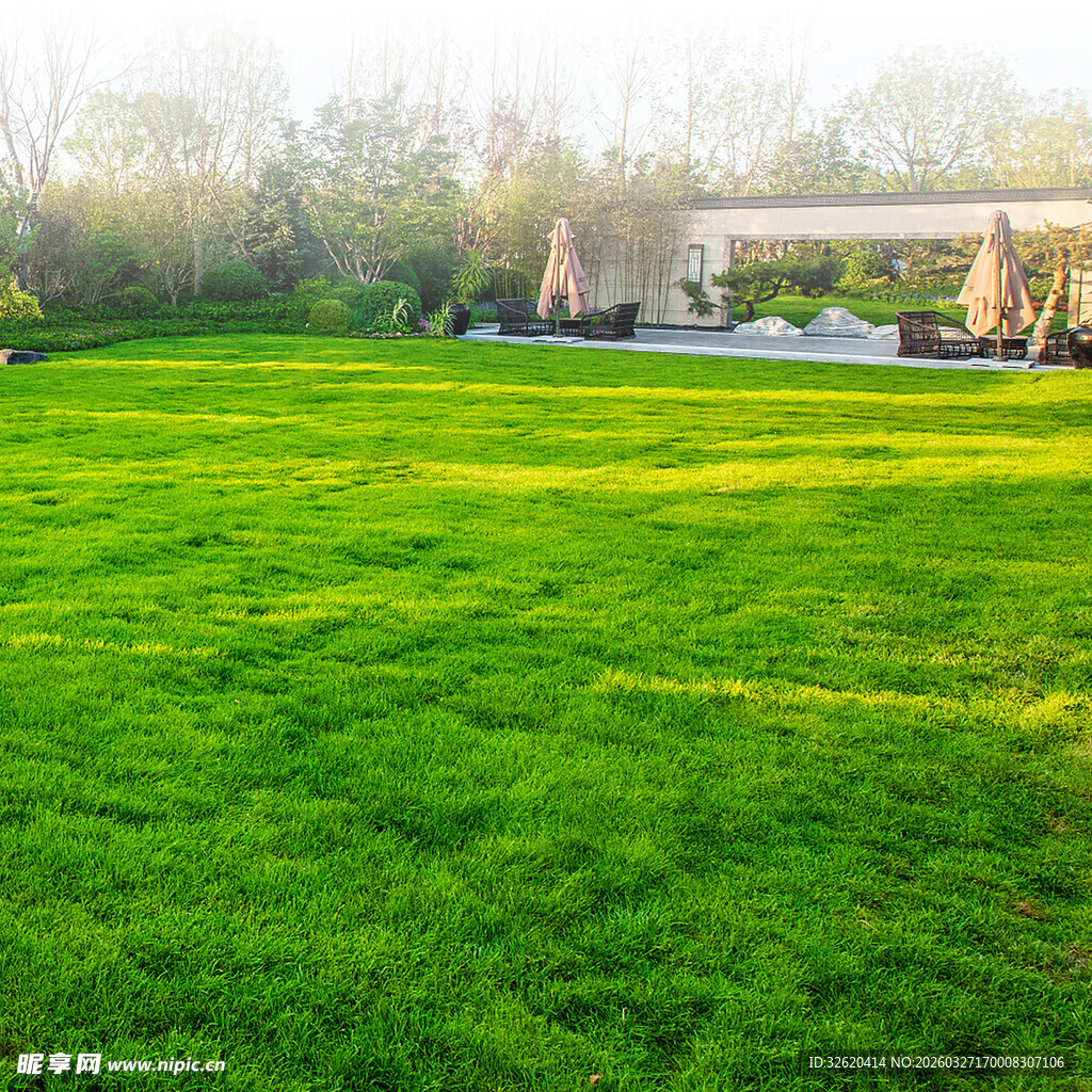 翠绿草坪与远处建筑景观