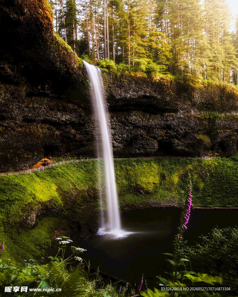 森林中的美丽瀑布景观