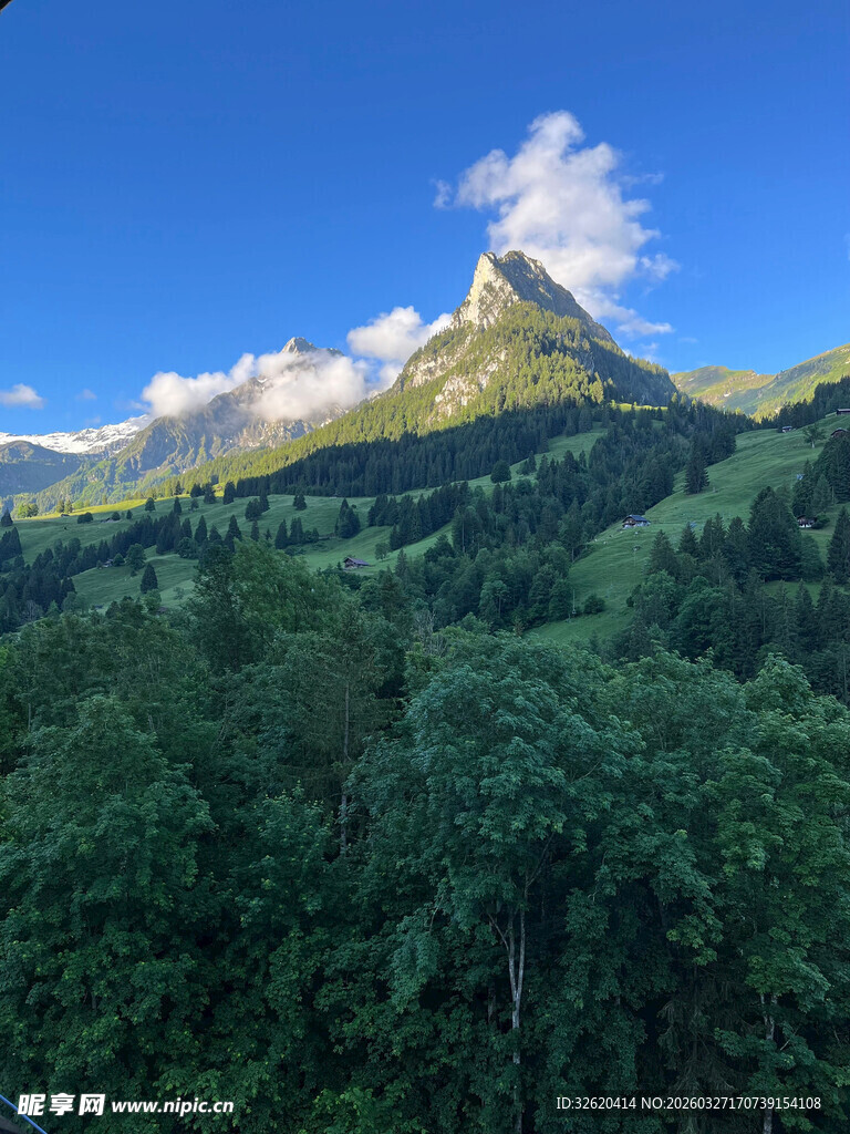 秀丽山峦与葱郁森林景观