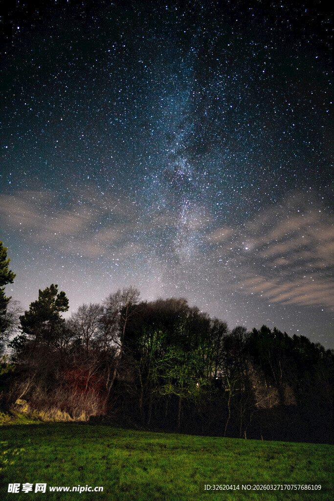 夜空下的草地与繁茂树林