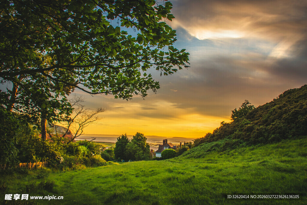 黄昏下的绿意田园风光