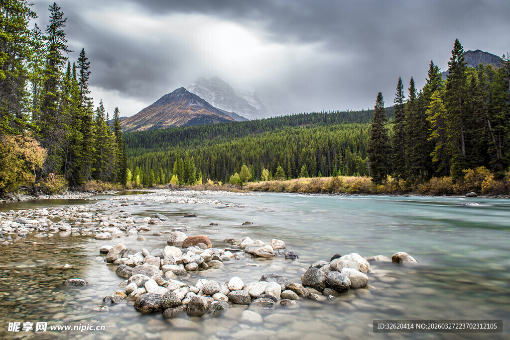 山间河流旁的森林美景