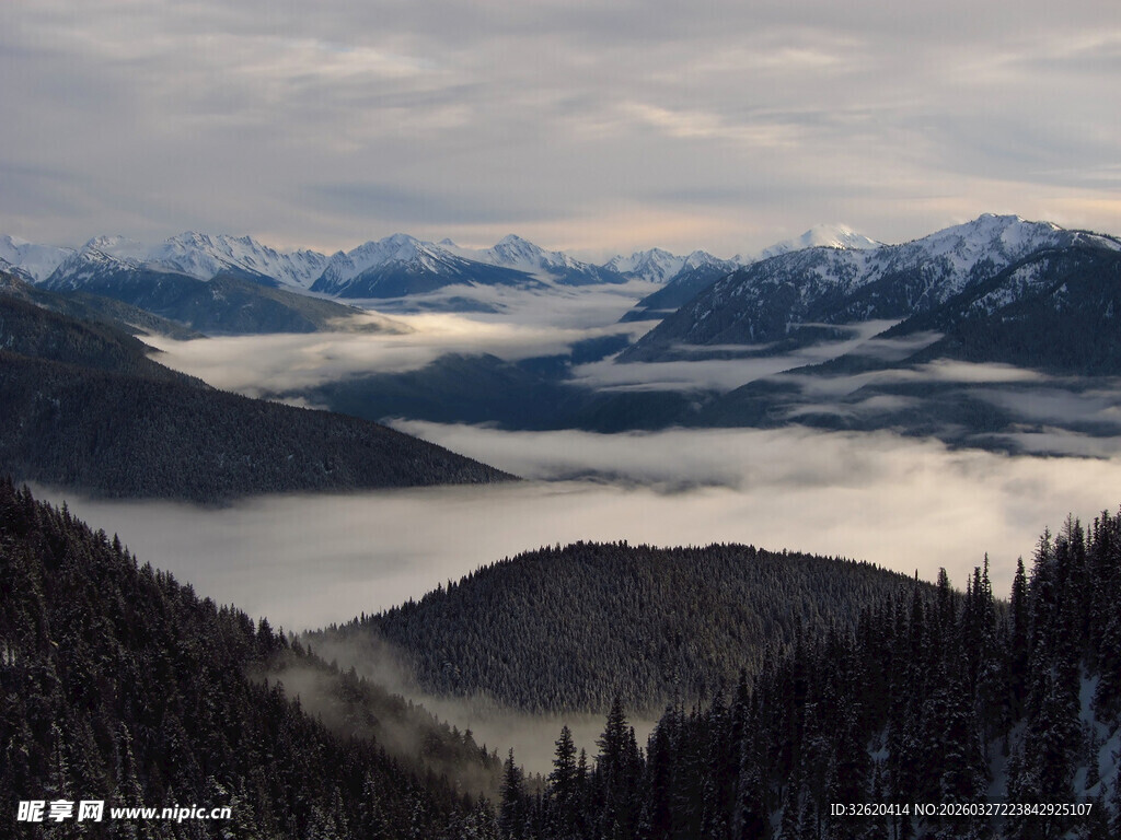 山间云海森林冬日美景