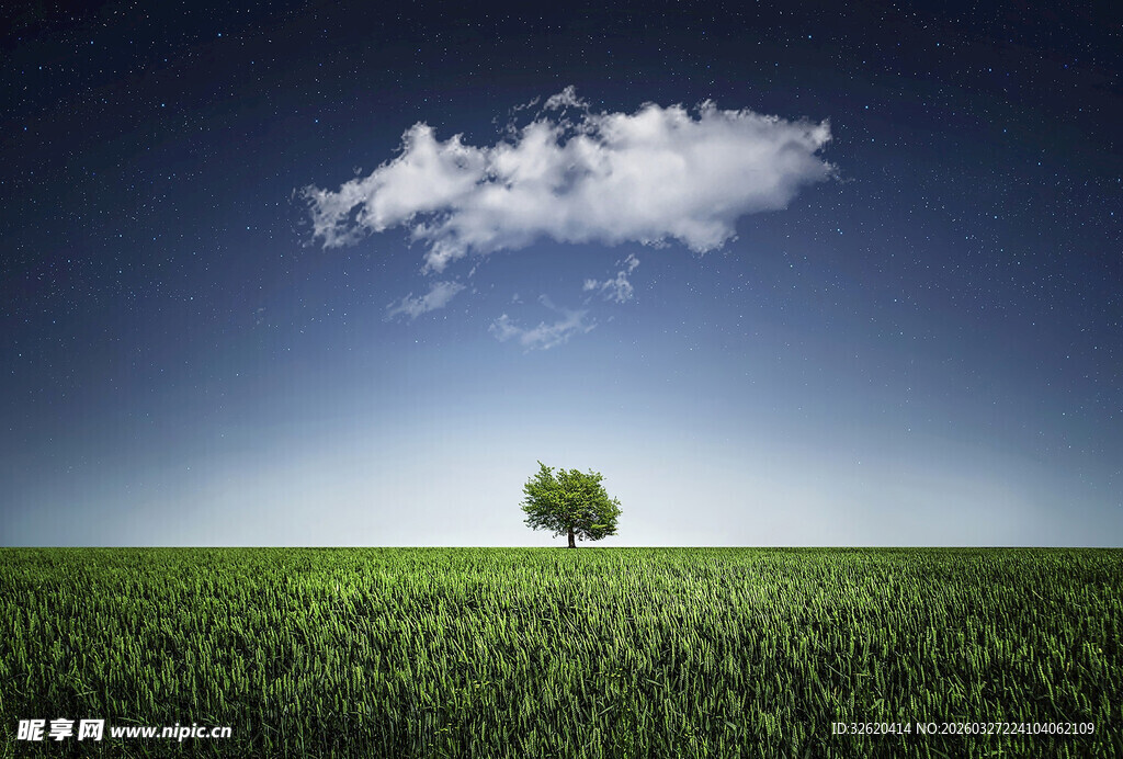 广袤绿原上的孤独小树