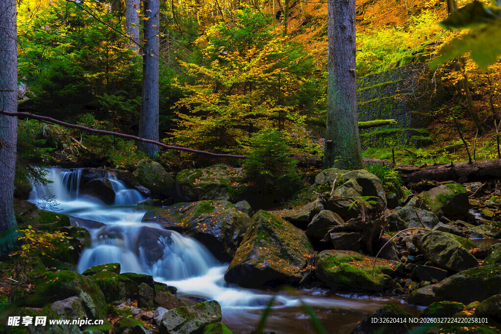 山林间的潺潺溪流