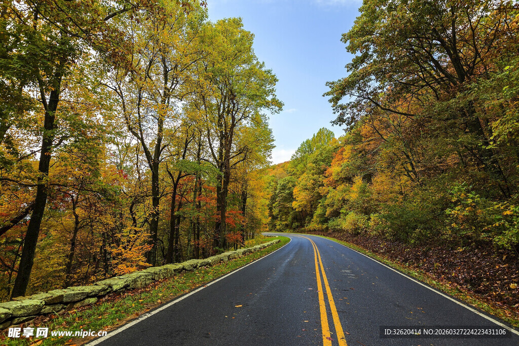 秋日林间公路美景