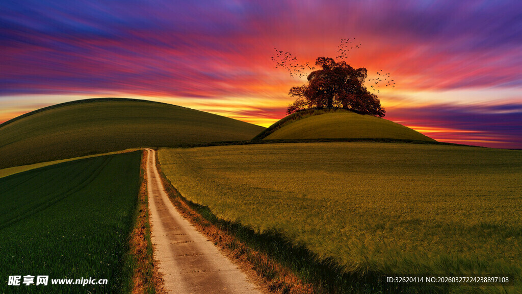 夕阳下田野中的蜿蜒小路
