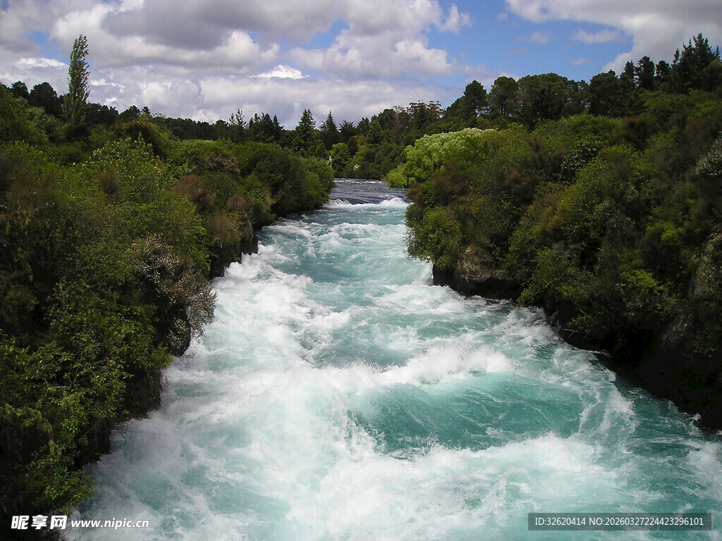 湍急河流穿茂林