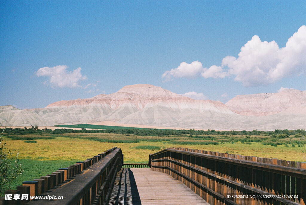 草原上的木质观景栈道