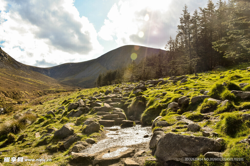 山间溪流旁的绿意景致