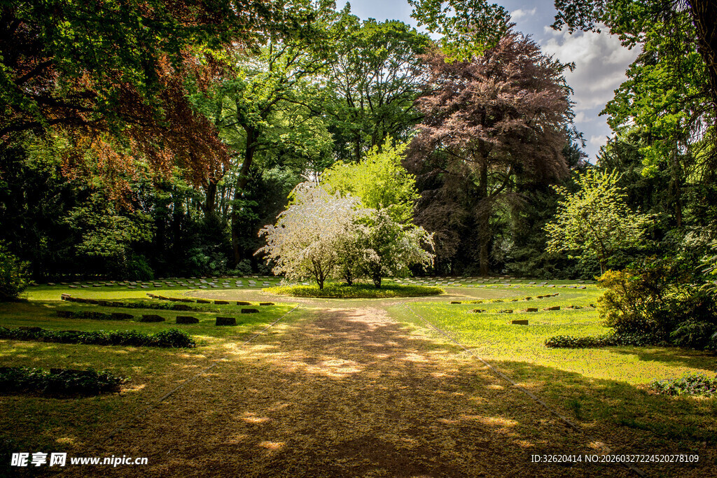 静谧林间草地自然美景