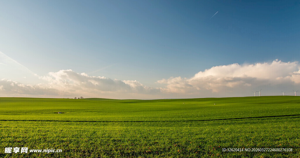 广袤绿野