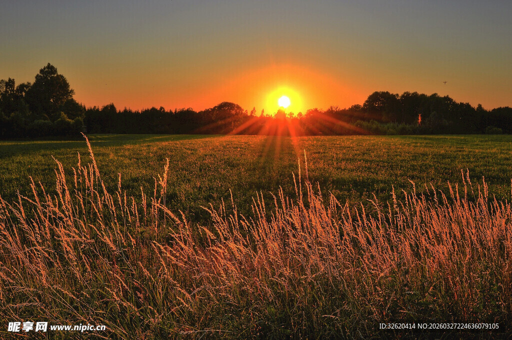 夕阳下的草地美景