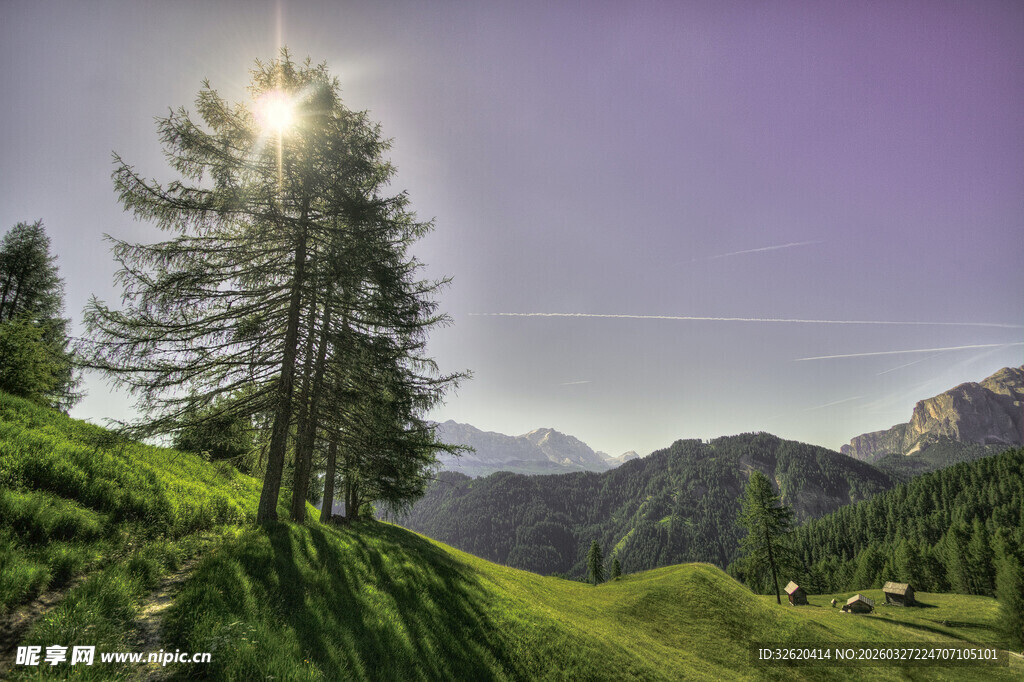 山间晨光下的翠绿景致
