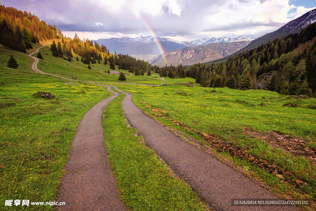 山间绿野中的蜿蜒小路