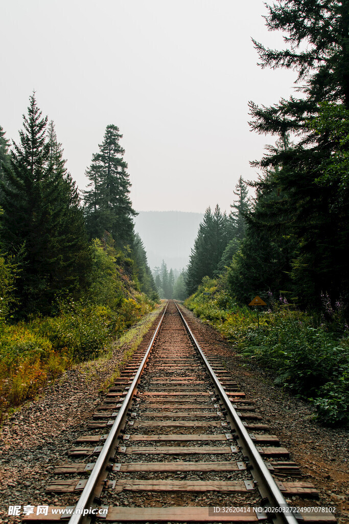 林间铁轨延伸向远方