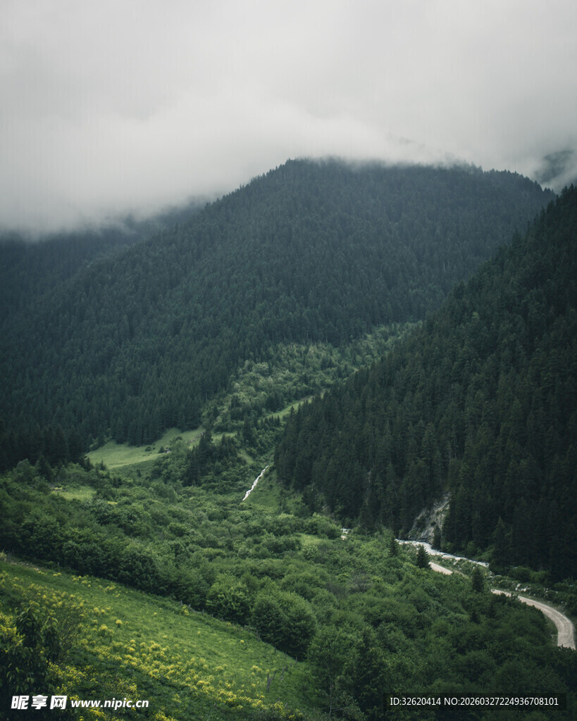 山间绿野中的蜿蜒公路
