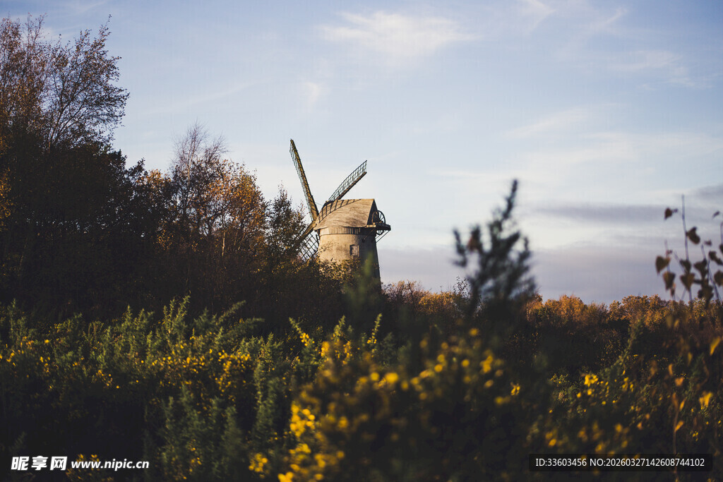 田园中的古老风车