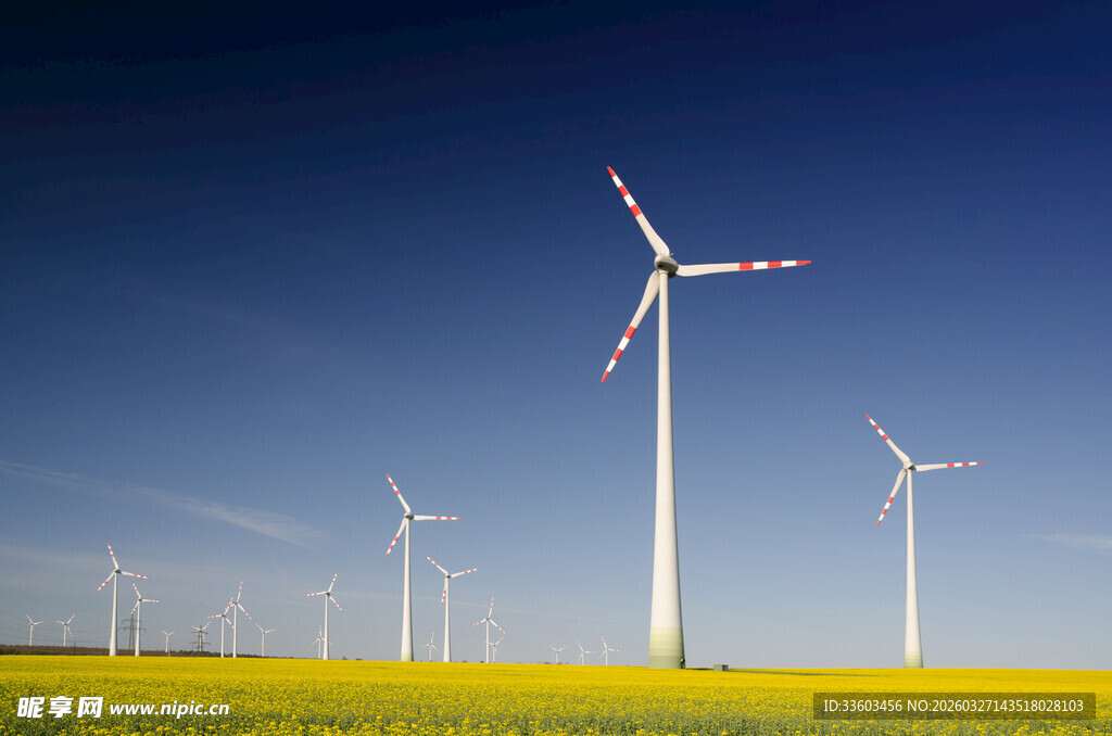 田野上的风力发电机组