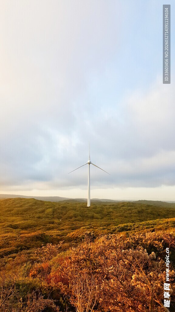 草原上的风力发电机