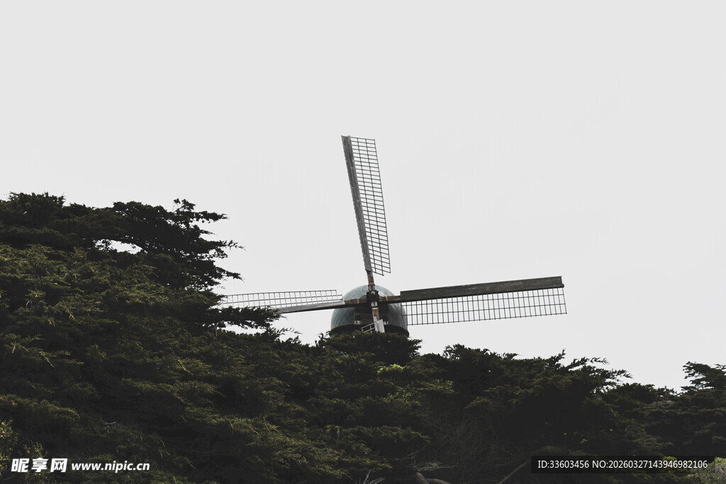 树林中的古老风车