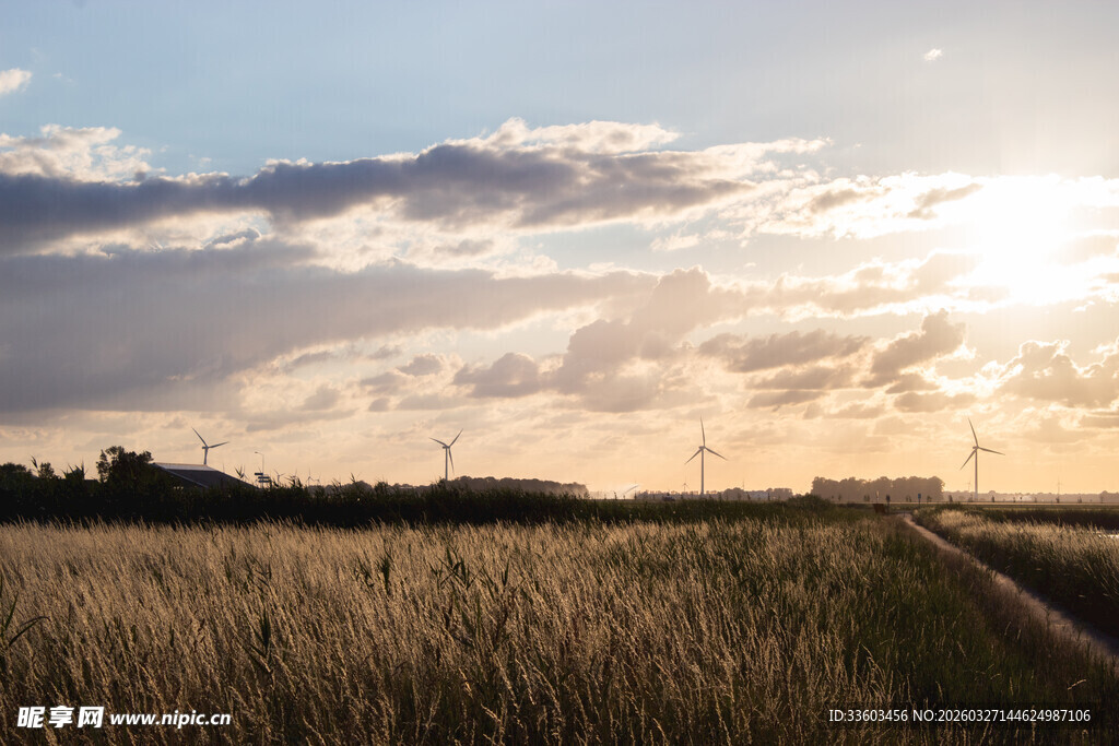 夕阳下的麦田与风车景观